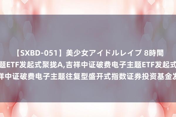 【SXBD-051】美少女アイドルレイプ 8時間 吉祥中证破费电子主题ETF发起式聚拢A，吉祥中证破费电子主题ETF发起式聚拢C: 吉祥中证破费电子主题往复型盛开式指数证券投资基金发起式聚拢基金基金家具贵府摘抄更新