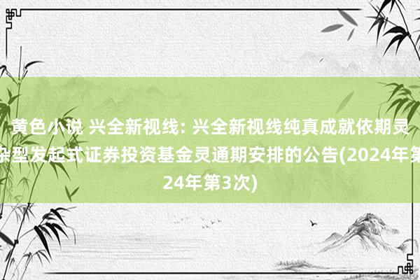 黄色小说 兴全新视线: 兴全新视线纯真成就依期灵通羼杂型发起式证券投资基金灵通期安排的公告(2024年第3次)