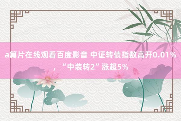 a篇片在线观看百度影音 中证转债指数高开0.01%，“中装转2”涨超5%