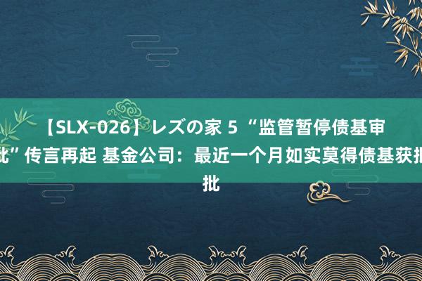 【SLX-026】レズの家 5 “监管暂停债基审批”传言再起 基金公司：最近一个月如实莫得债基获批