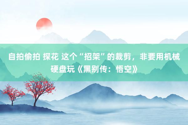 自拍偷拍 探花 这个“招架”的裁剪，非要用机械硬盘玩《黑别传：悟空》