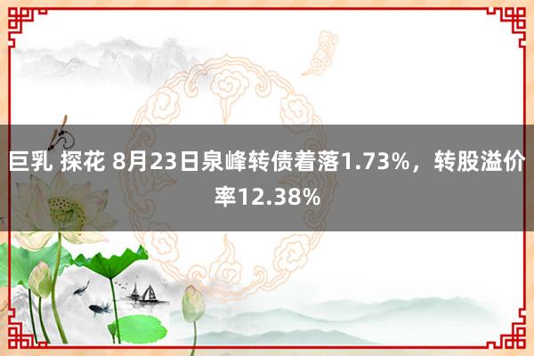 巨乳 探花 8月23日泉峰转债着落1.73%，转股溢价率12.38%