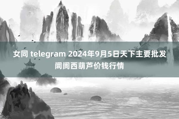 女同 telegram 2024年9月5日天下主要批发阛阓西葫芦价钱行情