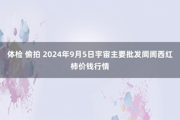 体检 偷拍 2024年9月5日宇宙主要批发阛阓西红柿价钱行情