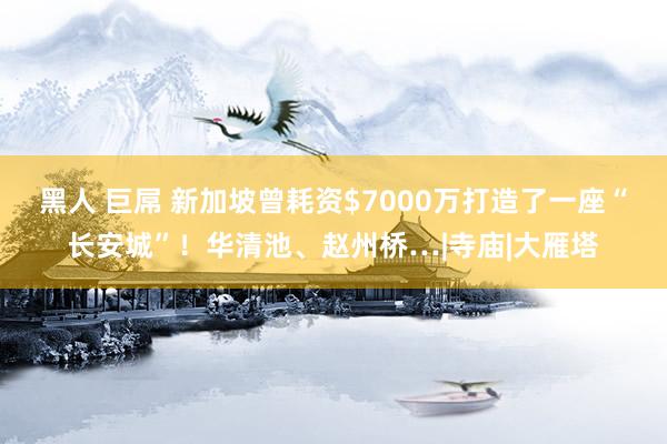 黑人 巨屌 新加坡曾耗资$7000万打造了一座“长安城”！华清池、赵州桥…|寺庙|大雁塔