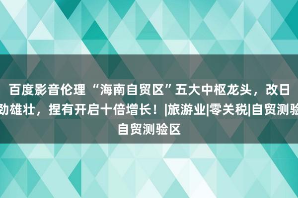 百度影音伦理 “海南自贸区”五大中枢龙头，改日后劲雄壮，捏有开启十倍增长！|旅游业|零关税|自贸测验区